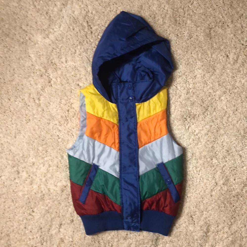 Multi Colored Puffy Vest with Hood